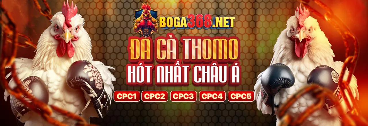 Gà chọi đang bay lên trong trận đấu đá gà trực tuyến tại gacam67 code