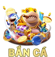 Hỗ trợ qua email gacam67 code