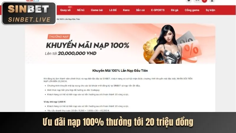 Hoàn Trả Cược Cao
